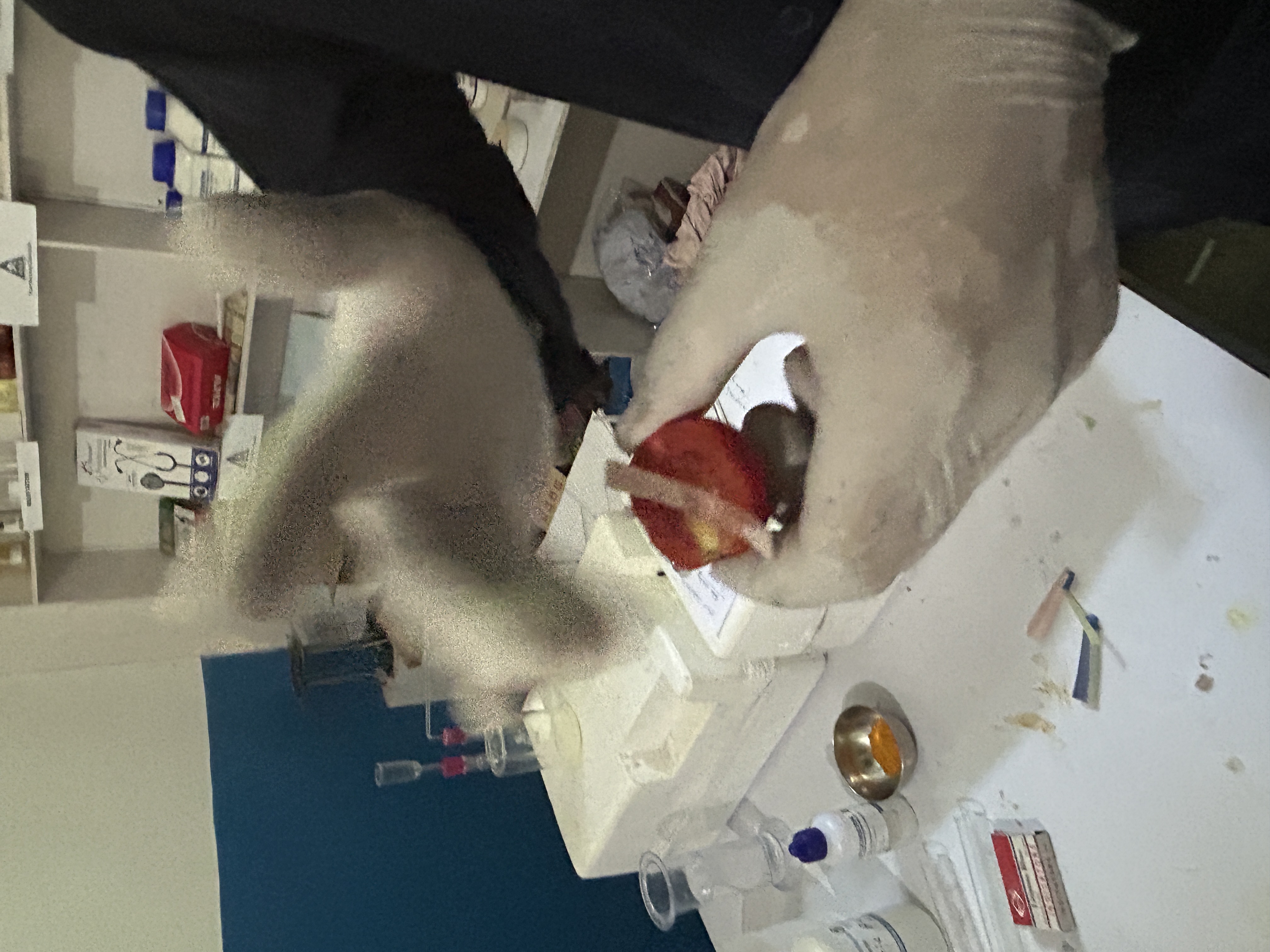 Science Experiments on identification of Acid, Base and Salt
