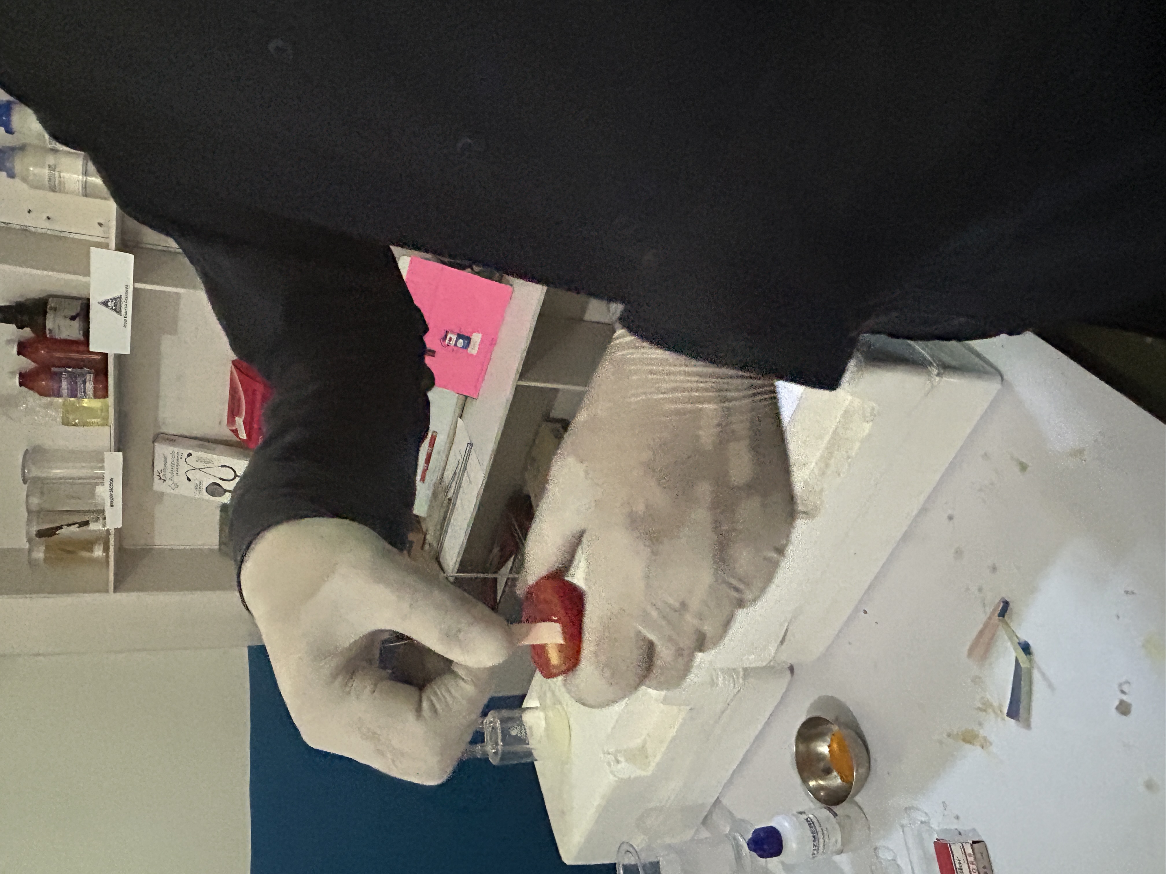 Science Experiments on identification of Acid, Base and Salt