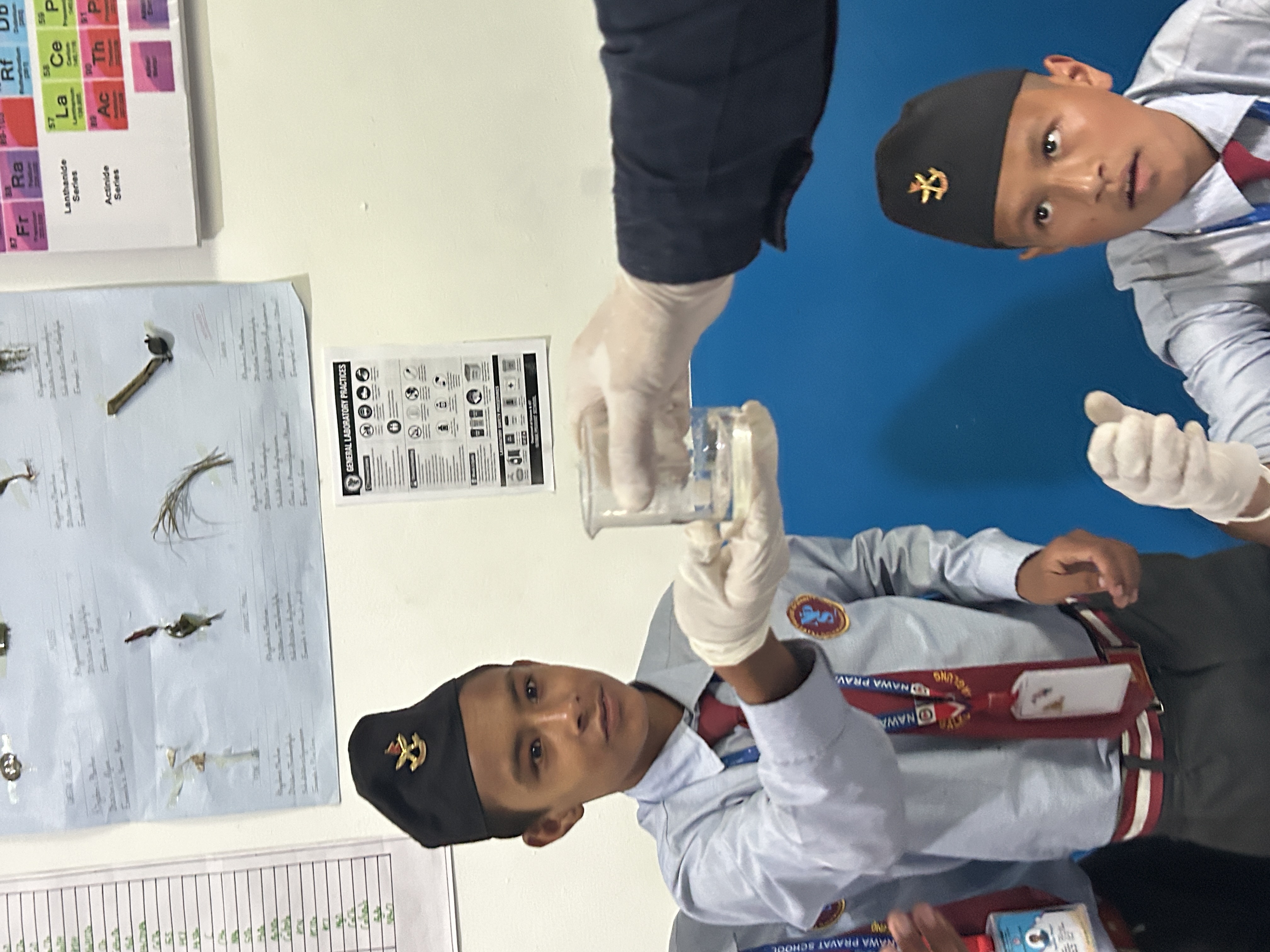 Science Experiments on identification of Acid, Base and Salt