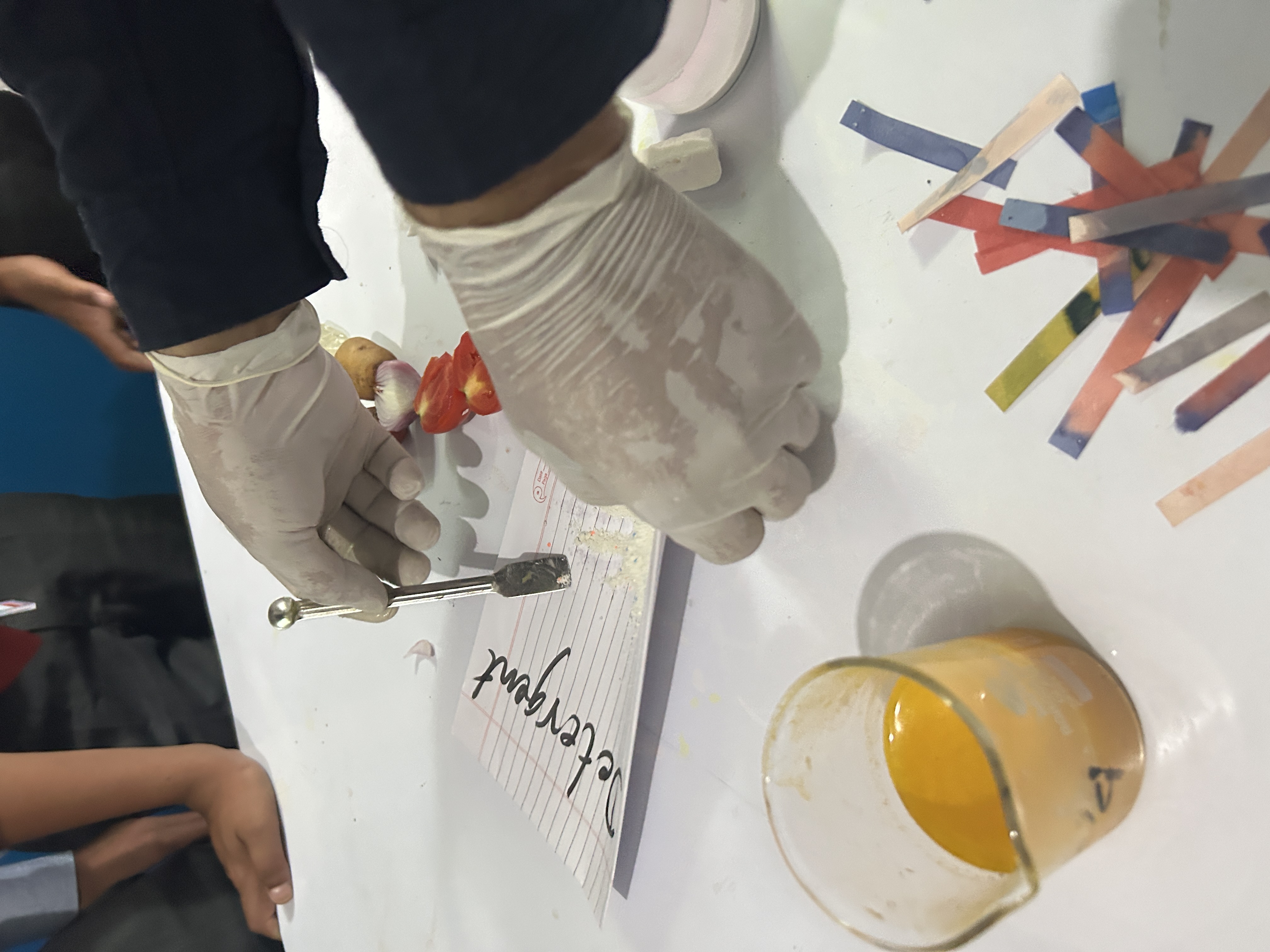 Science Experiments on identification of Acid, Base and Salt