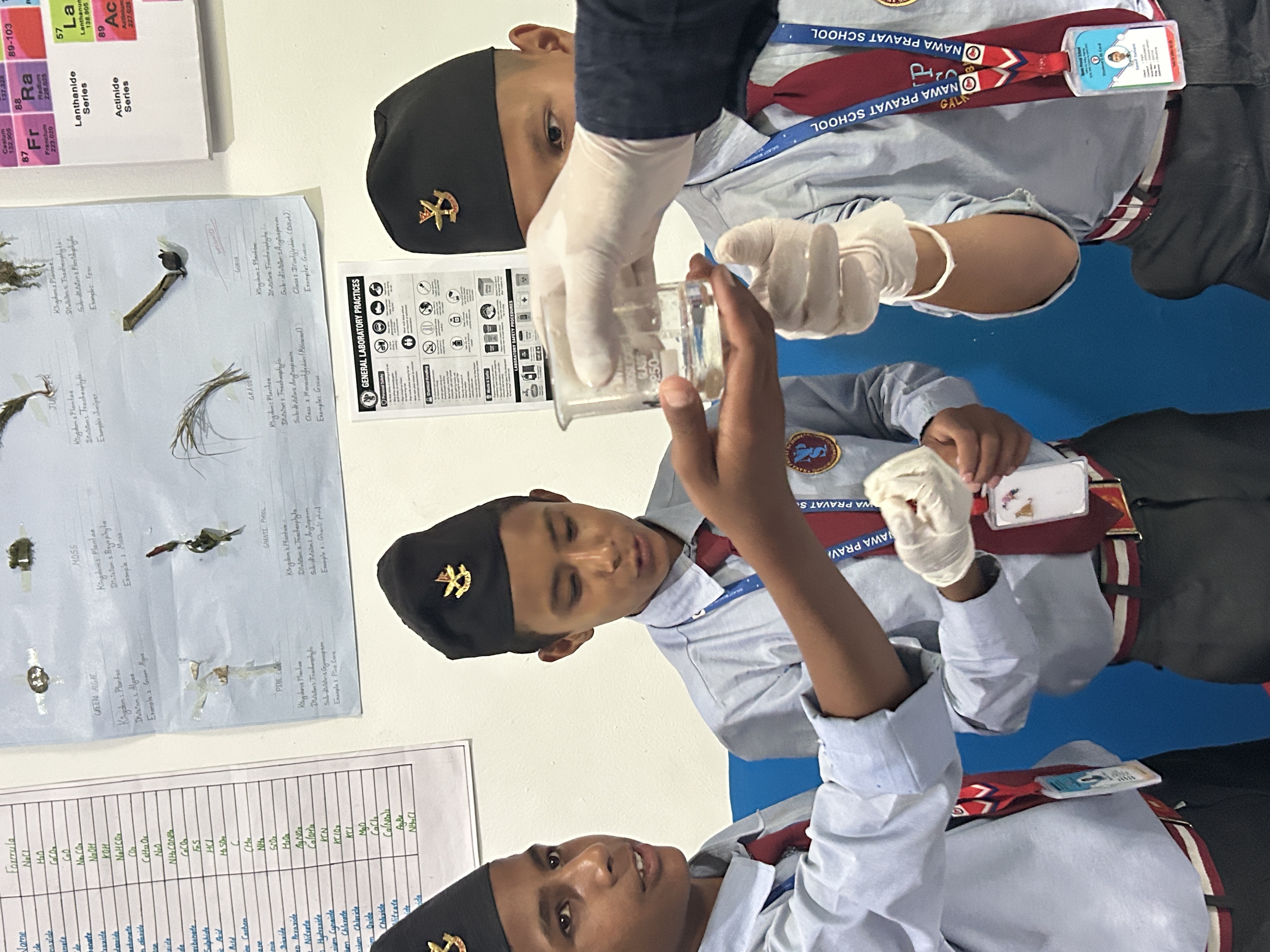 Science Experiments on identification of Acid, Base and Salt