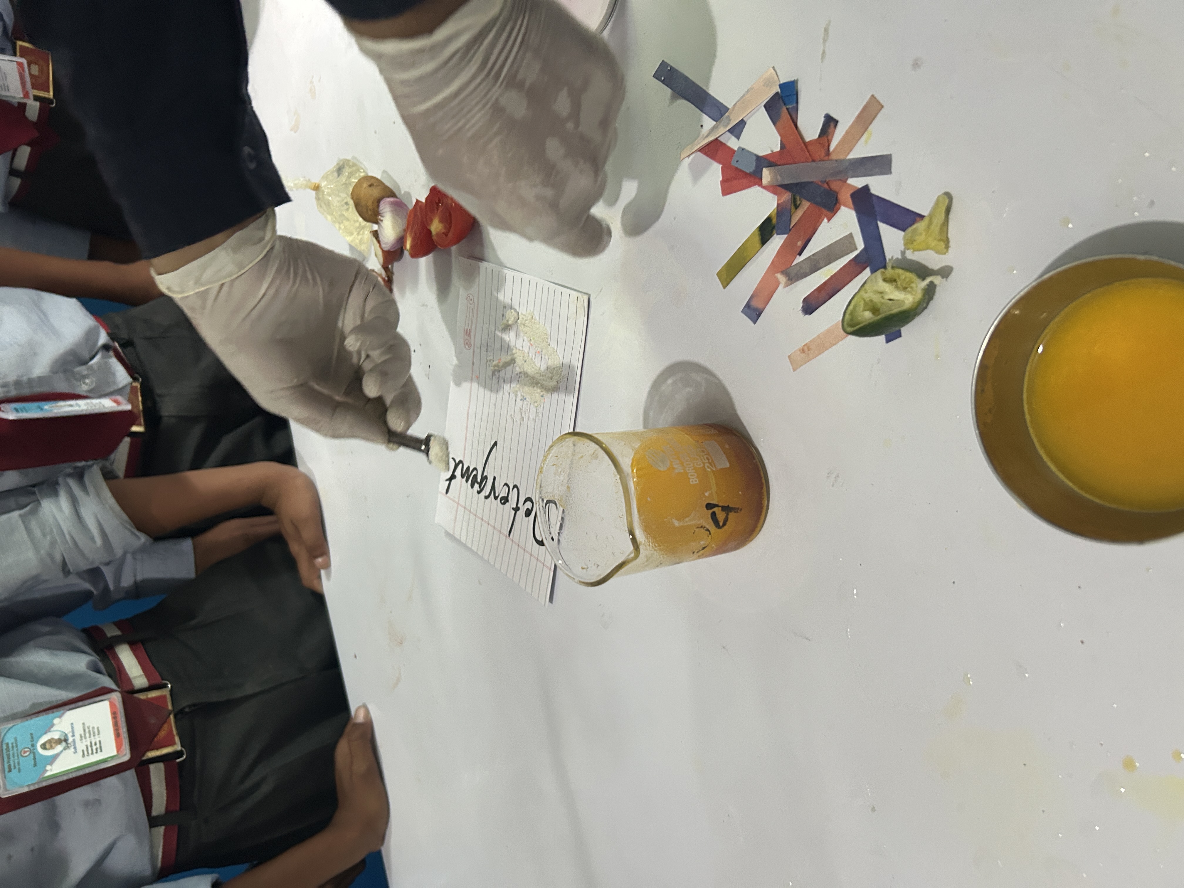 Science Experiments on identification of Acid, Base and Salt